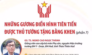 Những gương điển hình tiên tiến được Thủ tướng Chính phủ tặng Bằng khen (phần 7)