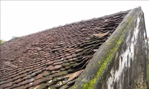 Khám phá những ngôi nhà xây bằng sò mỏ ở làng biển Diễn Châu 