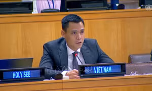 Khẳng định cam kết của ASEAN và Việt Nam về phát triển xã hội