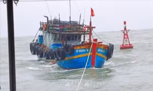 Kịp thời cứu hộ tàu cá gặp nạn ở Cửa Hội