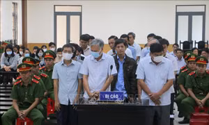 Hoãn phiên tòa xét xử 3 cựu Phó Chủ tịch UBND TP Long Xuyên (cũ) và đồng phạm