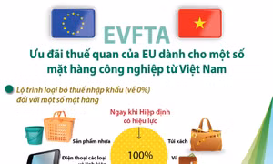 Ưu đãi thuế quan của EU dành cho một số mặt hàng công nghiệp từ Việt Nam
