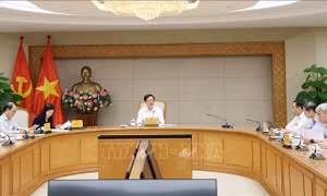 Quy định rõ cơ chế về dịch vụ hấp thụ và lưu giữ các-bon của rừng