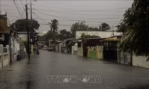 Cảnh báo nguy cơ lũ quét do bão Fiona tại CH Dominica