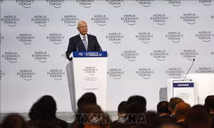 Diễn đàn Kinh tế Thế giới (WEF) điều tra nhà sáng lập Klaus Schwab