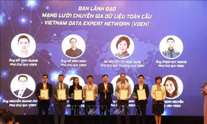 Kết nối trí tuệ Việt toàn cầu trong lĩnh vực dữ liệu