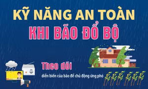 Kỹ năng an toàn khi bão đổ bộ