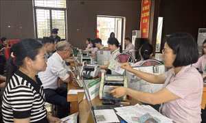 Mở hướng sinh kế từ tín dụng ưu đãi nơi vùng khó