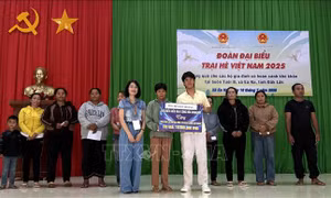 Trại hè Việt Nam 2025: Lan tỏa nghĩa tình của người Việt Nam đến bạn bè thế giới