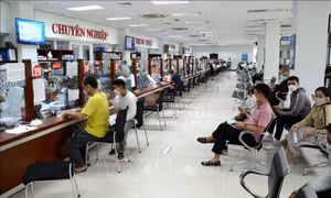Xây dựng vị trí việc làm phải hiệu quả - Bài 1: Điểm sáng từ Đà Nẵng