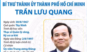 Bí thư Thành ủy Thành phố Hồ Chí Minh Trần Lưu Quang