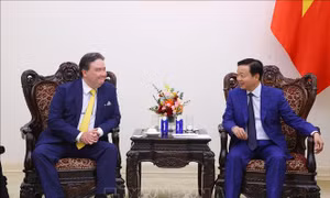 Phó Thủ tướng Trần Hồng Hà tiếp Đại sứ Hoa Kỳ Marc Knapper
