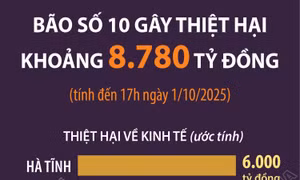 Bão số 10 gây thiệt hại khoảng 8.780 tỷ đồng