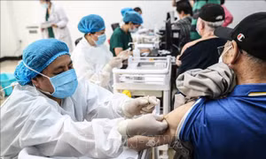 Toàn thế giới vượt 249 triệu ca nhiễm SARS-CoV-2