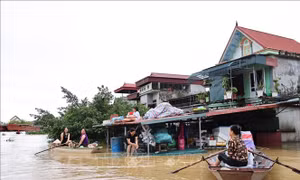 Nước sông Hoàng Long dâng cao, nhiều nhà ở huyện Gia Viễn ngập nặng 