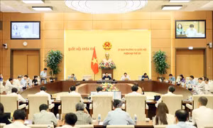 Hoàn thiện pháp luật để ngăn chặn việc sử dụng trái phép các loại dao có tính sát thương cao