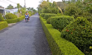 Đặt mục tiêu tăng thu nhập khu vực nông thôn gấp 3 lần