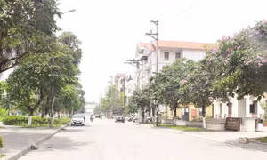 Thành lập thành phố Từ Sơn thuộc tỉnh Bắc Ninh