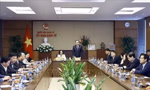 Chủ tịch Quốc hội làm việc với Ủy ban Kinh tế và Ủy ban Tài chính, Ngân sách