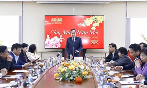 Chủ tịch Quốc hội làm việc với Ủy ban Văn hóa, Giáo dục và Ủy ban Xã hội