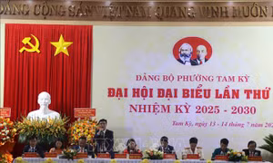 Xây dựng Tam Kỳ thành đô thị thông minh, hành chính phục vụ