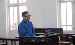 Phạt 6 tháng tù đối tượng gây rối ở sảnh thang máy chung cư