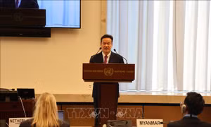 Việt Nam giữ lập trường nhất quán về giải trừ quân bị và không phổ biến vũ khí hạt nhân