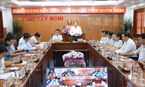 Không để nhà, đất dôi dư trở thành nguồn lực bị lãng phí