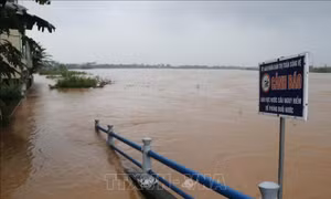 Quảng Ngãi: Lũ trên sông Trà Câu vượt mức báo động 3, cảnh báo ngập lụt nhiều vùng trong đêm
