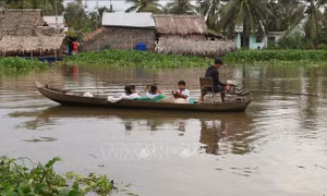 Hành trình gian nan đi tìm con chữ của trẻ em vùng sông nước miền Tây