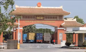 Hải quan liên tiếp phát hiện hàng hóa nghi xâm phạm sở hữu trí tuệ tại nhiều cửa khẩu