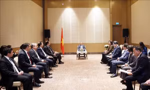 Tổng Bí thư Tô Lâm tiếp lãnh đạo doanh nghiệp tiêu biểu Azerbaijan