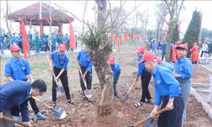 Phát động Tết trồng cây và dâng hương danh nhân văn hóa Lê Quý Đôn