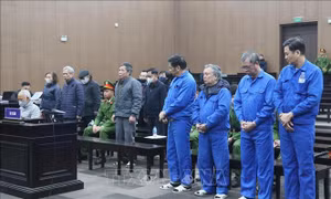 Cựu Chủ tịch Tổng Công ty Xi măng Việt Nam bị đề nghị phạt từ 12-13 năm tù