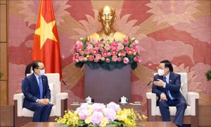 Chủ tịch Quốc hội Vương Đình Huệ tiếp Đại sứ Campuchia