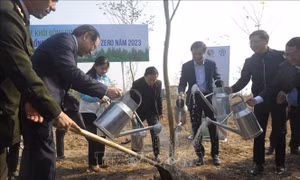 Phó Thủ tướng Trần Hồng Hà phát động dự án trồng cây hướng đến Net Zero