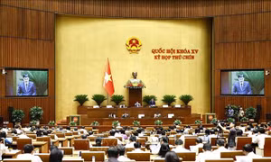 Phân cấp, phân quyền trong quản lý nhà nước về quy hoạch