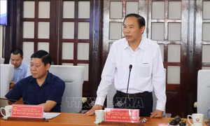 Triển khai đồng bộ các giải pháp tháo gỡ 'thẻ vàng' IUU