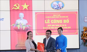 Gieo 'hạt giống' đảng, tạo động lực phát triển doanh nghiệp - Bài 1: Tự hào khi doanh nghiệp có đảng