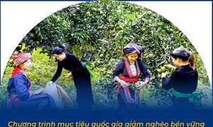 Nửa chặng đường giảm nghèo bền vững giai đoạn 2021 - 2025: Nhiều kết quả tích cực 
