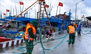 Ứng phó bão số 10: Đoàn công tác của EVNNPT chỉ huy, ứng trực tại vùng tâm bão