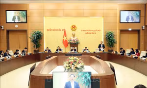 Cho ý kiến về chỉnh lý dự thảo Luật Công nghiệp quốc phòng, an ninh và động viên công nghiệp