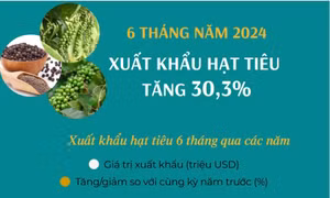 Sáu tháng, xuất khẩu hạt tiêu tăng 30,3%