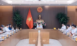 Tập trung nghiên cứu, hoàn thiện dự thảo Nghị quyết về phát triển kinh tế Nhà nước