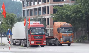 Phê duyệt Nhiệm vụ Quy hoạch chung xây dựng Khu vực cửa khẩu Chi Ma