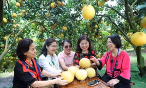 Khởi sắc du lịch qua Lễ hội trái cây Bắc Ninh 