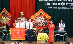Ninh Bình: Nâng cao hiệu quả của hoạt động đối ngoại nhân dân