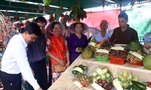 Lễ hội sông nước miệt vườn ở Cồn Mỹ Phước