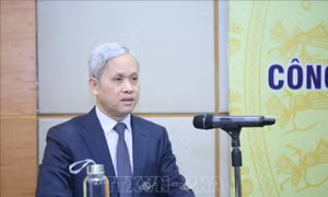 Năm 2020, ngành thống kê tập trung thực hiện nhiều đề án lớn