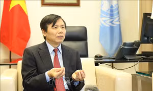 Việt Nam đảm nhận thành công cương vị Chủ tịch Hội đồng Bảo an tháng 1/2020